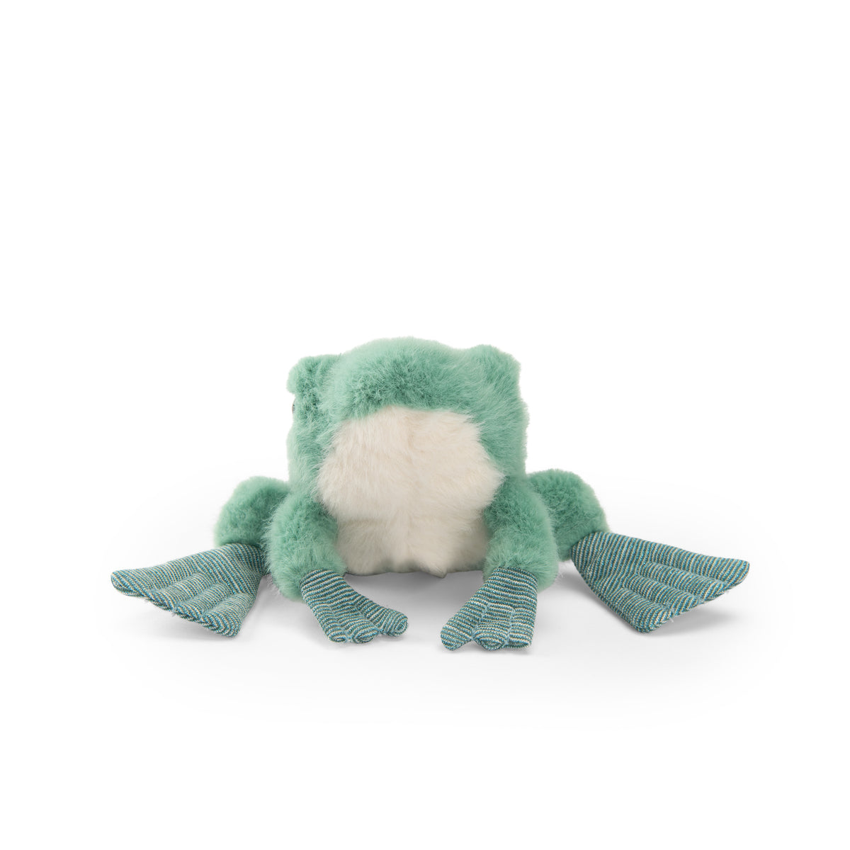 Grenouille Tout autour du monde