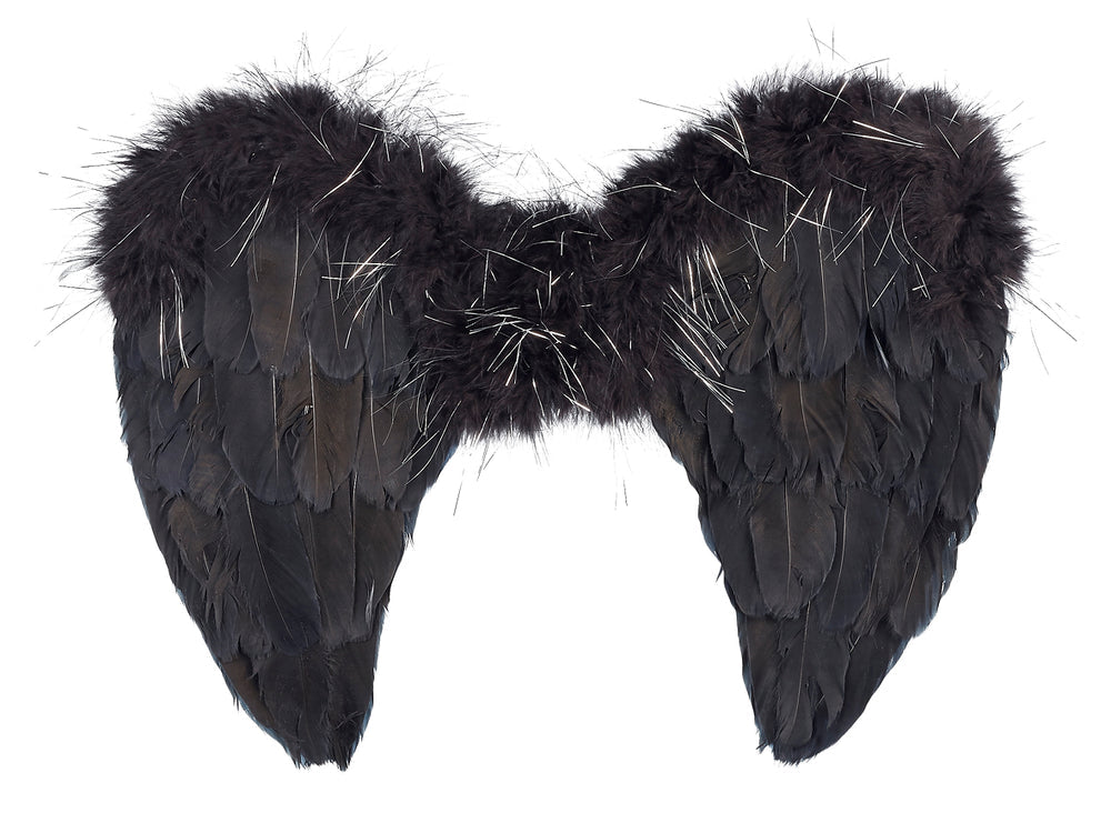 Ailes noires plumes
