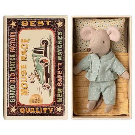 Petit Frère Souris dans sa boîte