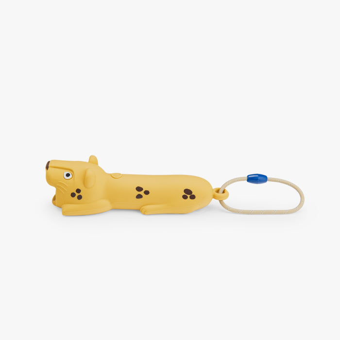 Lampe torche