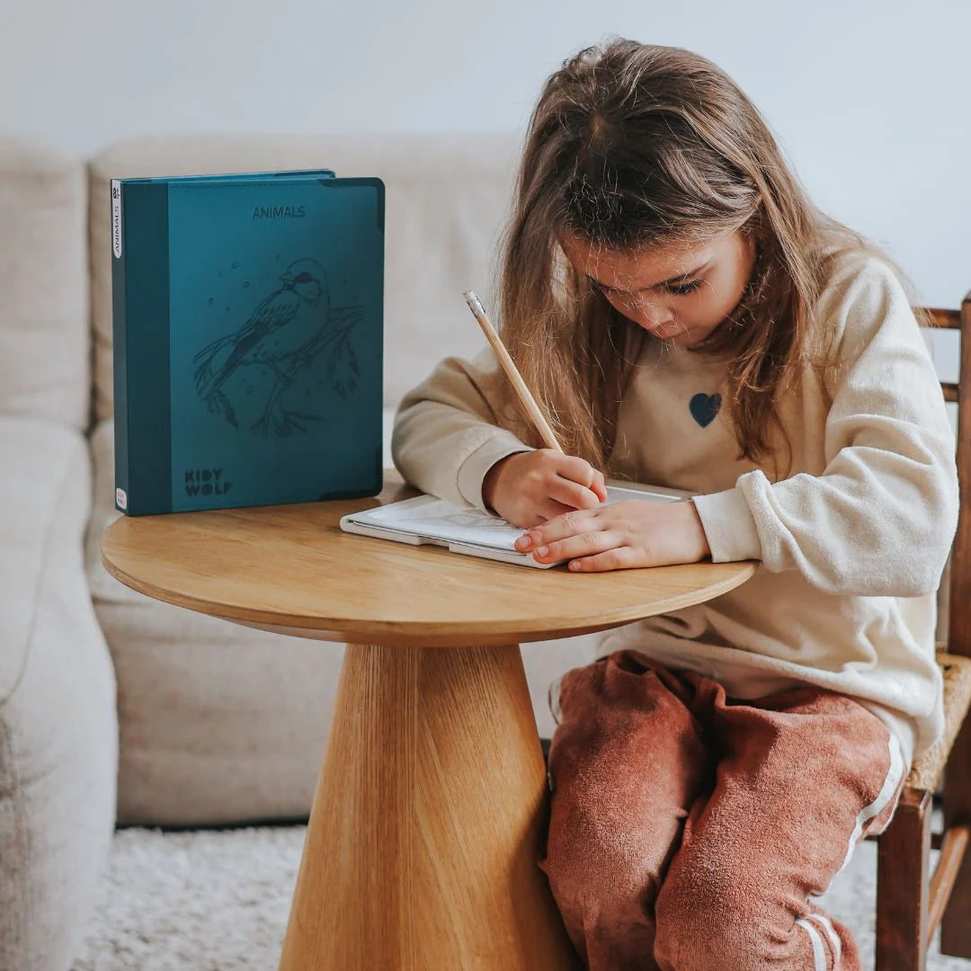 Tablette lumineuse avec dessins 8+