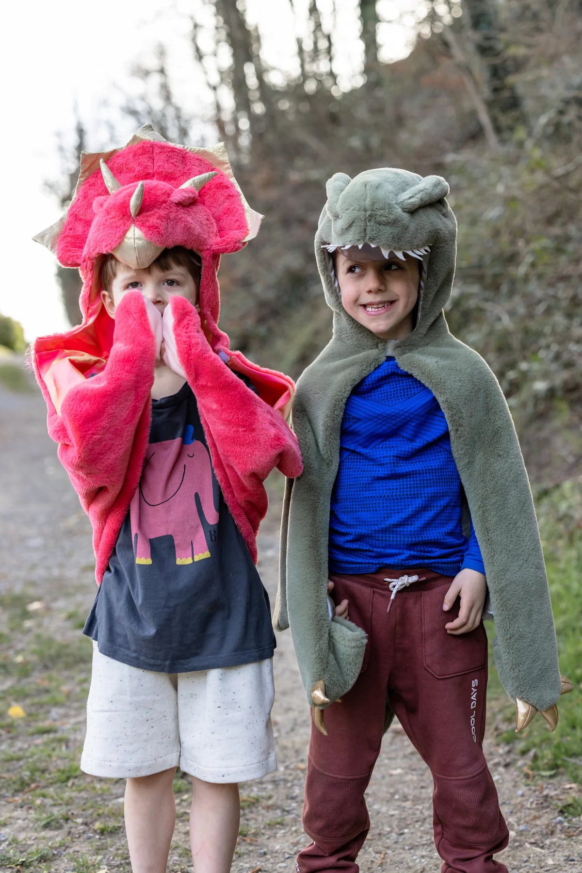 Cape peluche tricératops 2-3 ans