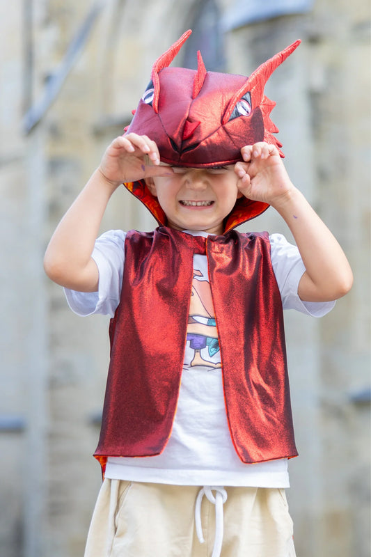 Veste de dragon