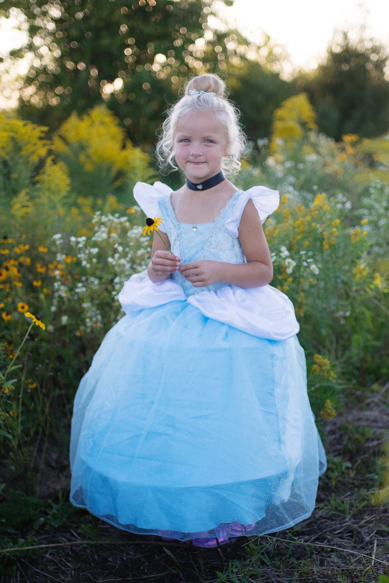 Robe de princesse bleue