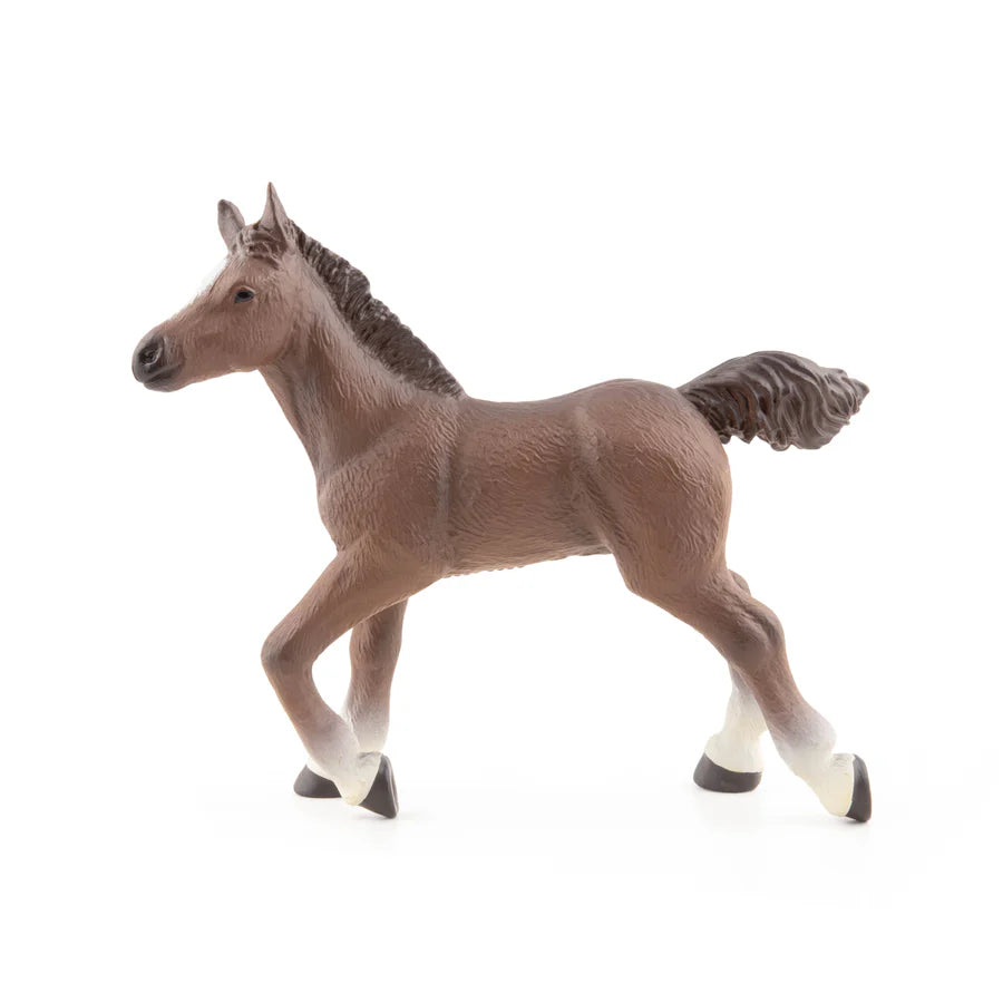 Figurine Papo poulain anglo-arabe