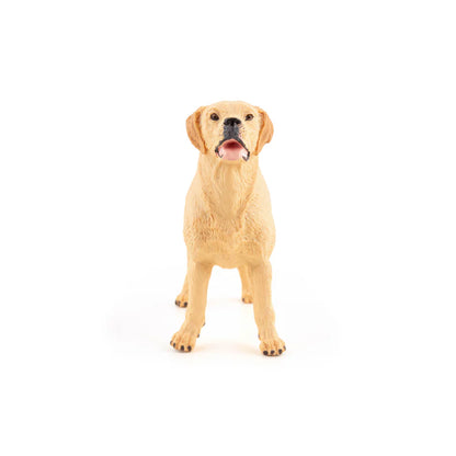 Figurine Papo Labrador