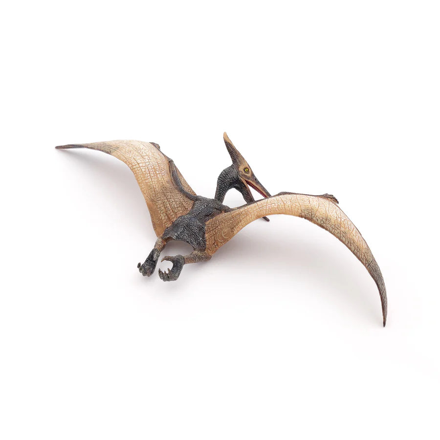 Figurine Ptéranodon Papo
