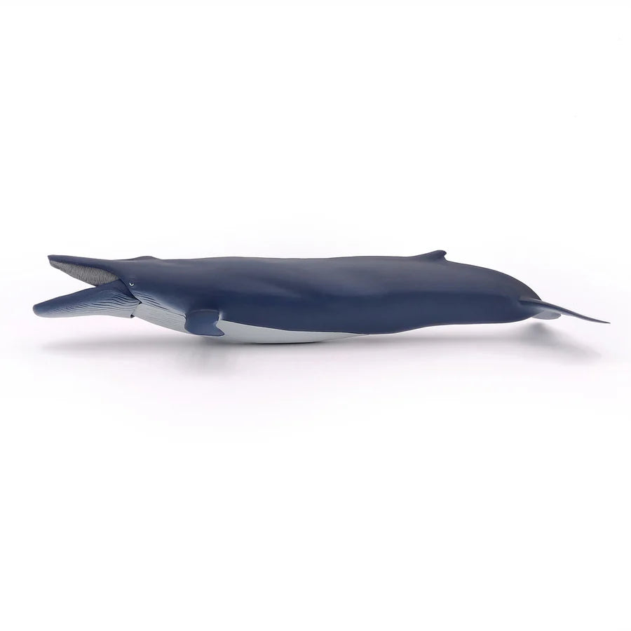 Figurine Papo baleine bleue