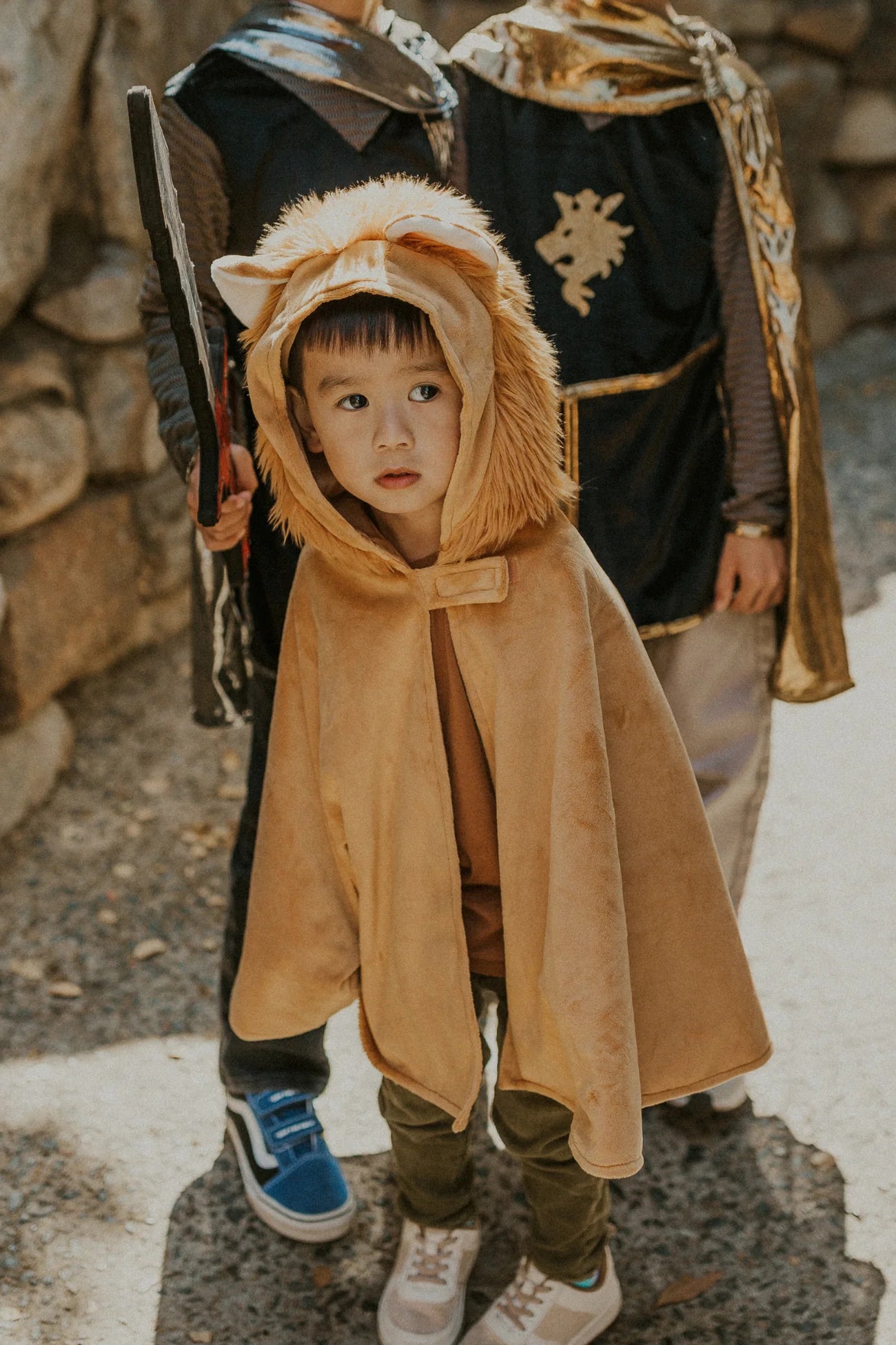 Cape lion taille 2-3 ans