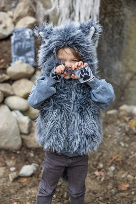 Déguisement de loup