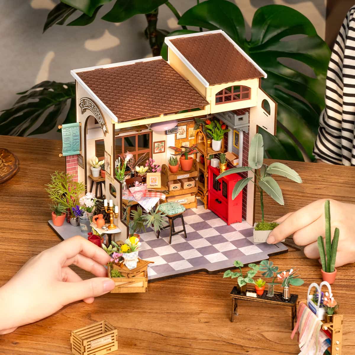 Maquette Rolife DG145 Fleuriste Emilys