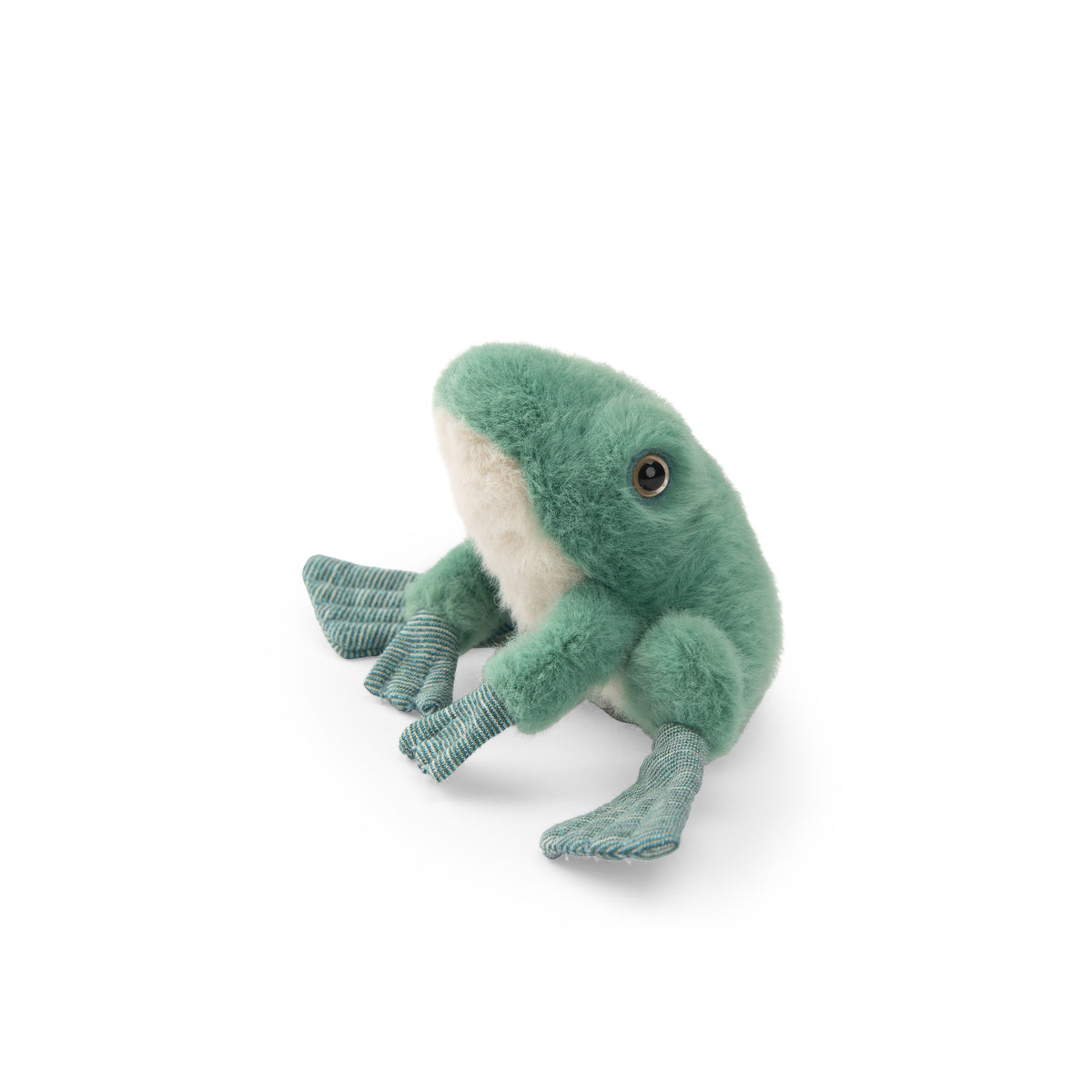 Grenouille Tout autour du monde