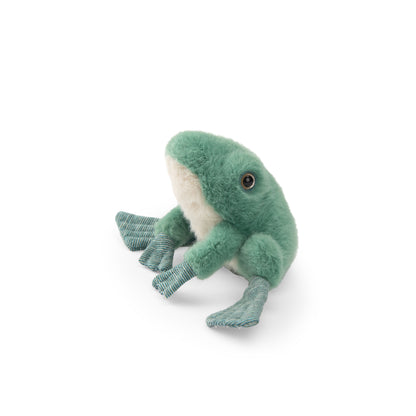 Grenouille Tout autour du monde