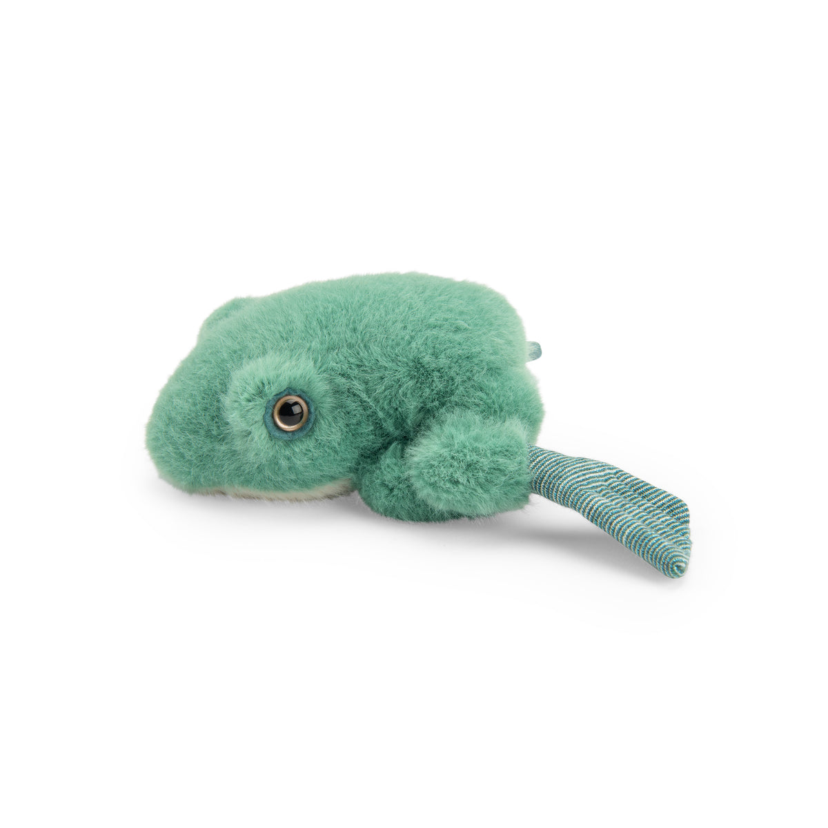 Grenouille Tout autour du monde