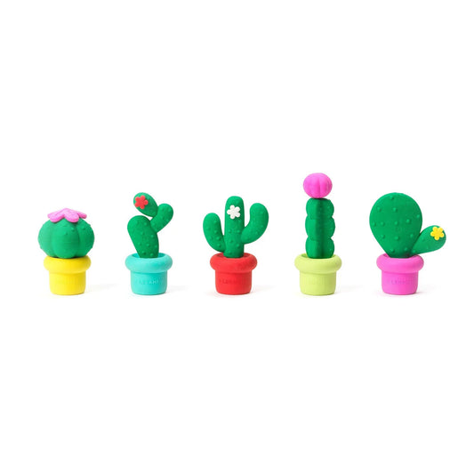 5 gommes cactus parfumées