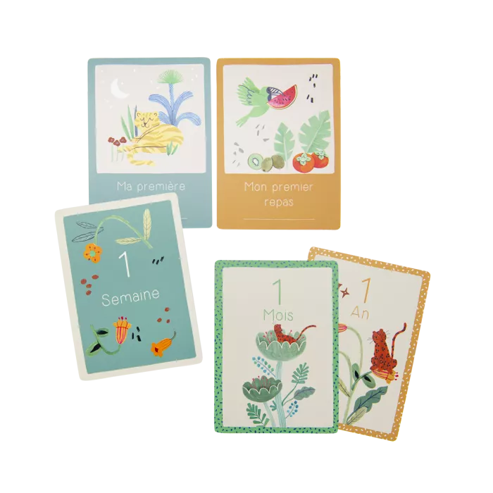 Cartes mes 12 premiers mois La forêt Mawa