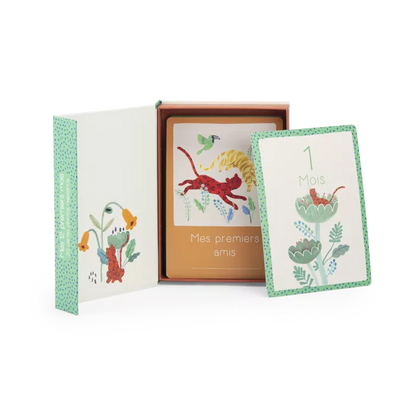 Cartes mes 12 premiers mois La forêt Mawa