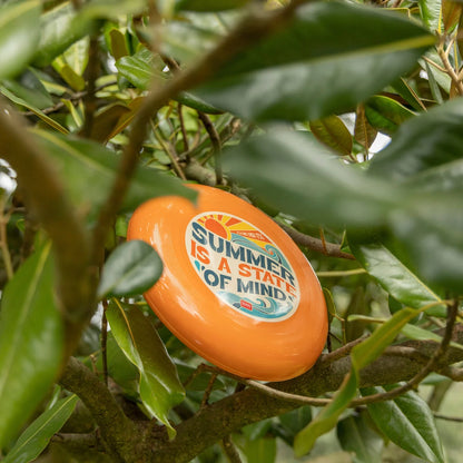 Frisbee orange vintage