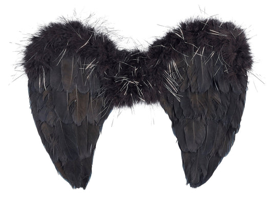 Ailes noires plumes