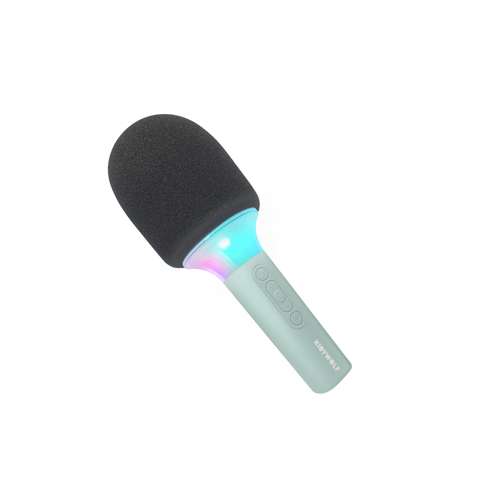 Micro Enceinte Karaoke