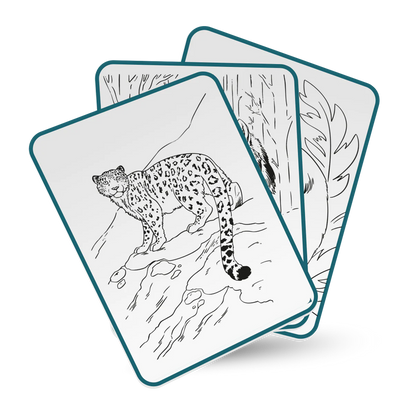 Tablette lumineuse avec dessins 8+