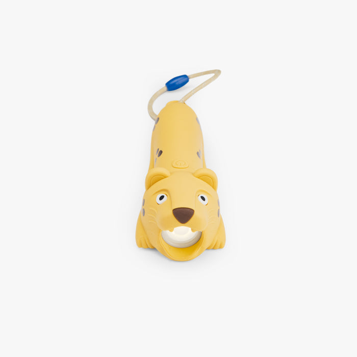 Lampe torche
