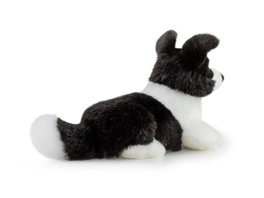 Peluche Border Collie Scott