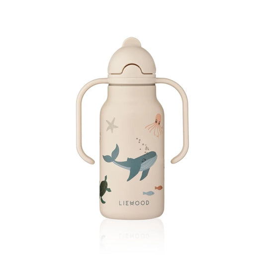 Gourde en acier KIMMIE 250 ML