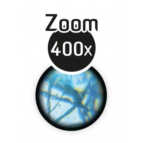 Microscope 15 expériences