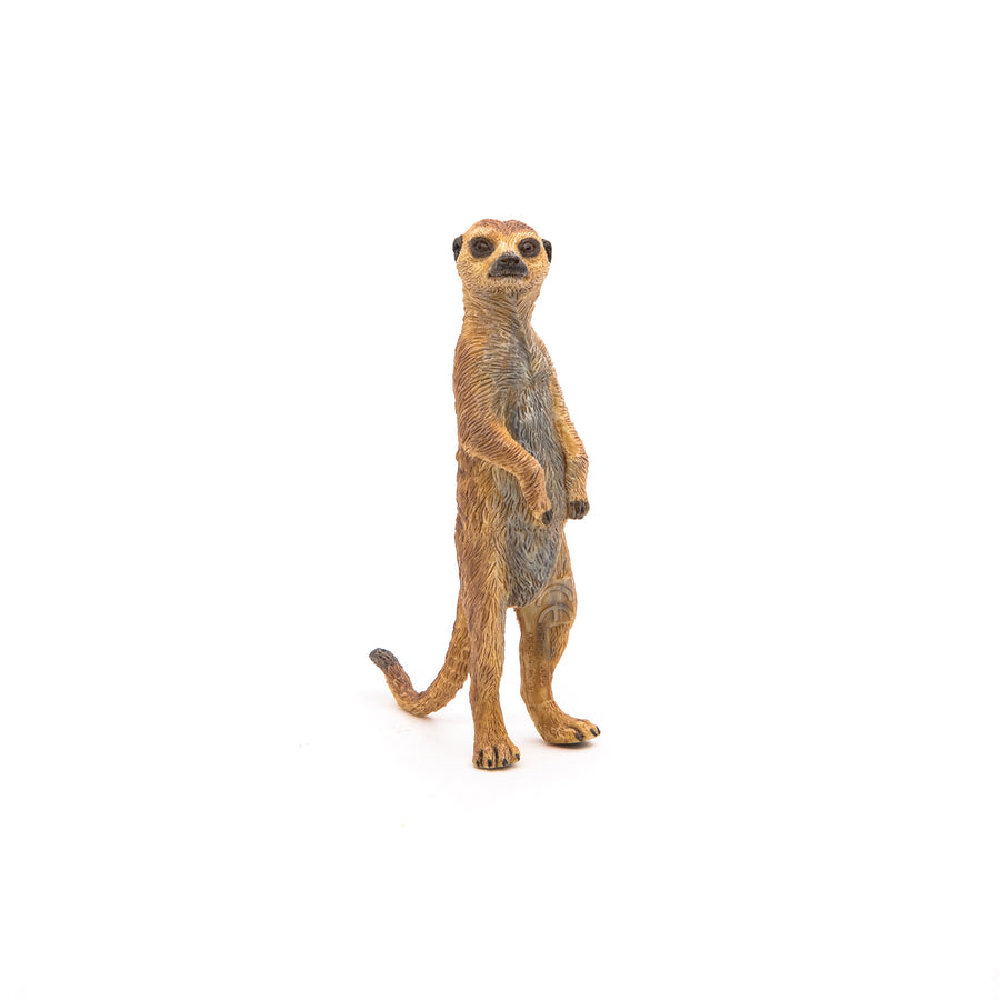 Figurine Papo Suricate debout