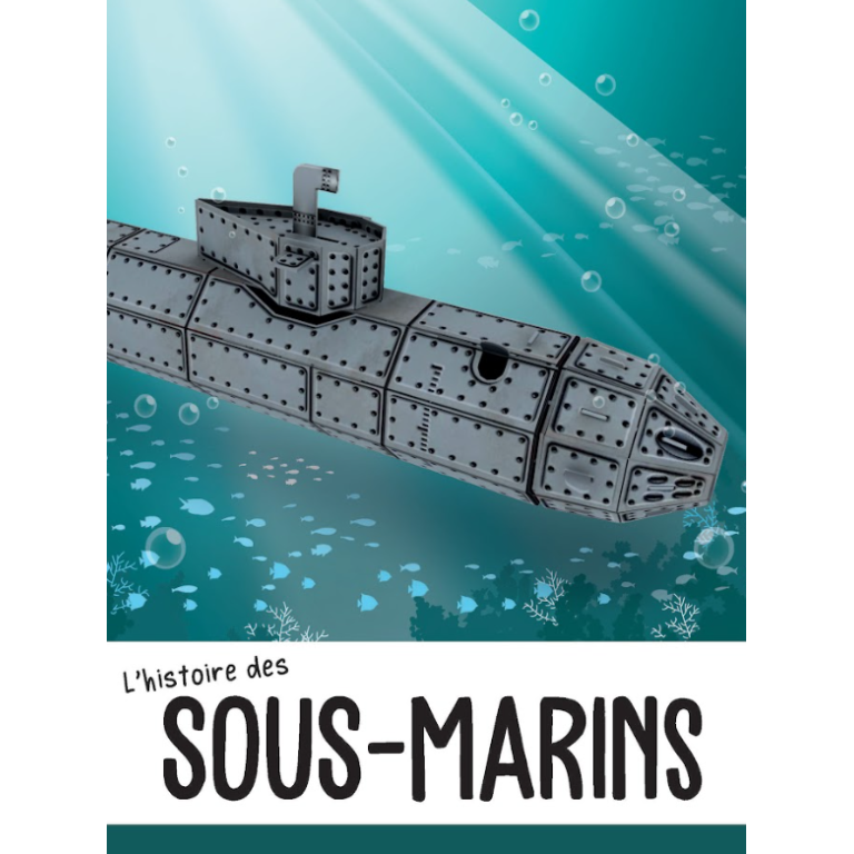 Maquette Sassi en carton