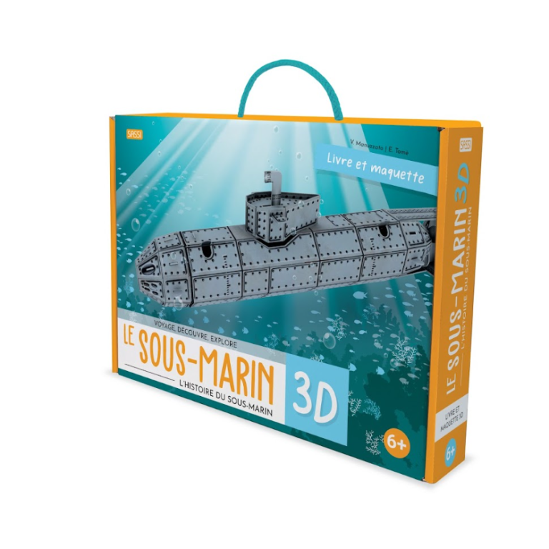 Maquette Sassi en carton